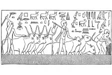 Ancient Egypt Culture 14