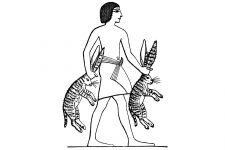 Ancient Egypt Culture 7