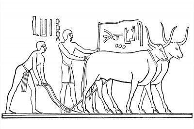 Ancient Egypt Culture 13