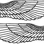 Angel Wings 6