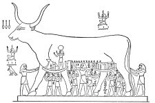 Gods Of Egypt Symbols 4 The Celestial Cow