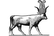 Gods Of Egypt Symbols 9 Scared Cow