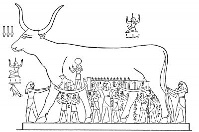 Gods Of Egypt Symbols 4 The Celestial Cow