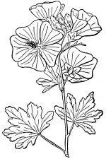 Black And White Clip Art Of Flowers 1
