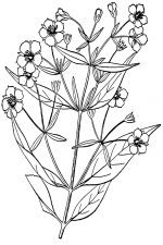 Black And White Clip Art Of Flowers 3