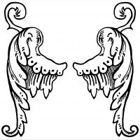 Drawings of Angel Wings