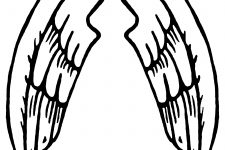 Drawings of Angel Wings 2