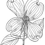 Pictures Of Flowers To Color 16