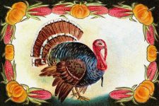 Clip Art Of Thanksgiving Turkey 1