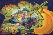 Clip Art Of Thanksgiving Turkey 2