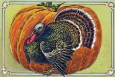 Clip Art Of Thanksgiving Turkey 6