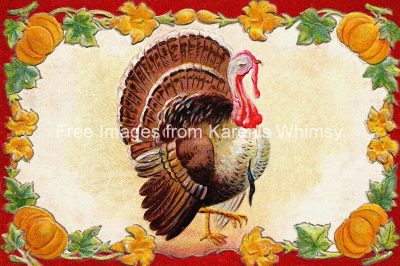 Clip Art Of Thanksgiving Turkey 5