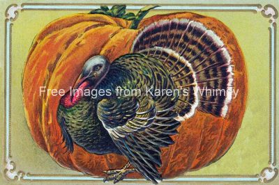 Clip Art Of Thanksgiving Turkey 6
