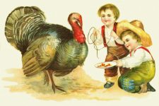 Thanksgiving Turkey Clip Art 2