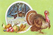 Thanksgiving Turkey Clip Art 3