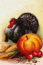 Clipart of Turkeys for Thanksgiving 9