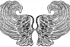 Pictures of Angel Wings 1
