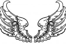 Pictures of Angel Wings 4