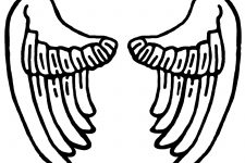 Pictures of Angel Wings 6