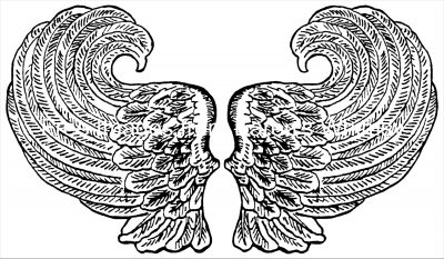 Pictures of Angel Wings 1