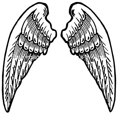 Pictures of Angel Wings 2