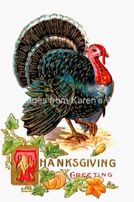 Free Clip Art For Thanksgiving 7