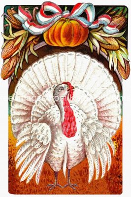 Thanksgiving Clipart Pictures 5