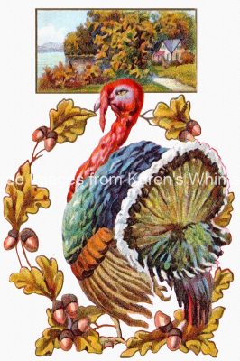 Thanksgiving Clipart Pictures 6