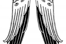 Black Angel Wings 5