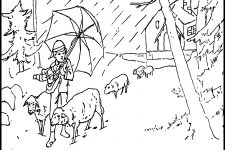 Coloring Pages Of Winter 4 Lambs In A Storm