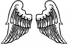 Feathered Angel Wings 2