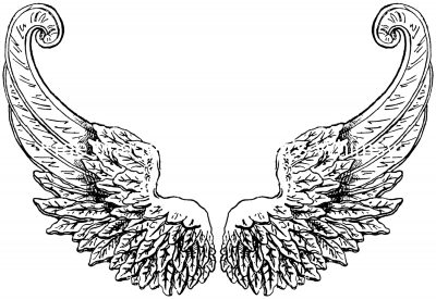 Feathered Angel Wings 1