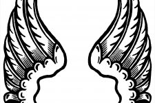 Large Angel Wings 1