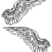 Large Angel Wings