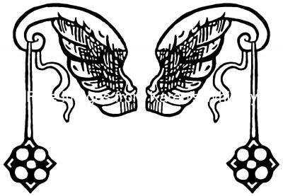 Large Angel Wings 2