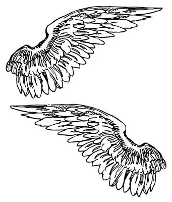Large Angel Wings 4