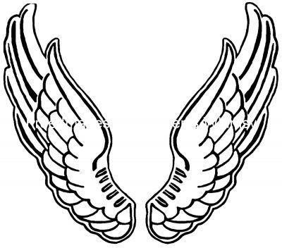Large Angel Wings 5