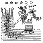 Aztec Symbols 9 Water Scoop And Centipede