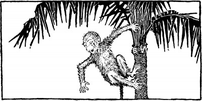 Monkey Cartoons 4 - Monkey in Palm Tree