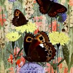 Butterflies On Flowers 2 Arran Brown