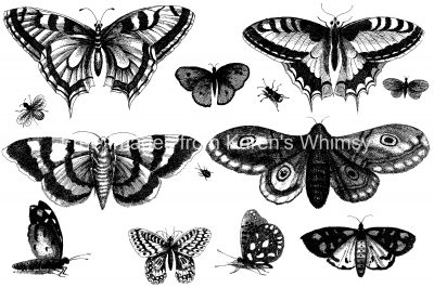 Black And White Butterfly Clipart 15