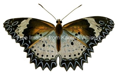Butterfly Clip Art 20