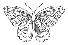 Butterfly Coloring Pages 11