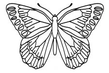 Butterfly Coloring Pages 2