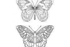 Butterfly Coloring Pages 5