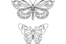 Butterfly Coloring Pages 7