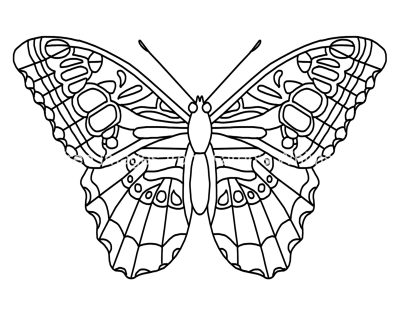 Butterfly Coloring Pages 3