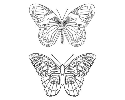 Butterfly Coloring Pages 5