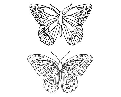 Butterfly Coloring Pages 6