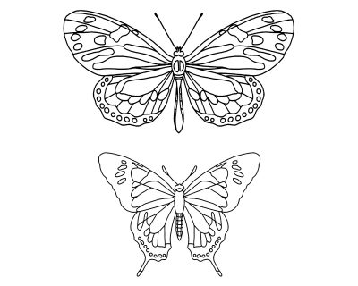 Butterfly Coloring Pages 7